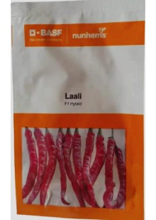 Laali F1 Hy Chilli Nunhems 